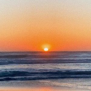 Meet your Posher, Carly